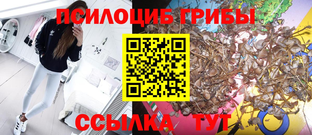 Псилоцибиновые грибы ЛСД Россия