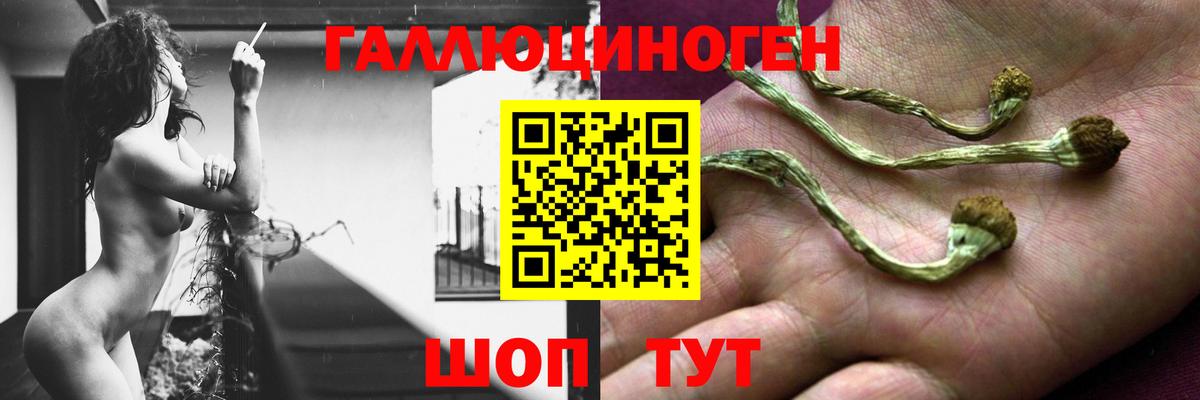 цены   Псилоцибиновые грибы Magic Shrooms  Вход с VPN  Галлюциногенные грибы мухоморы  Россия 